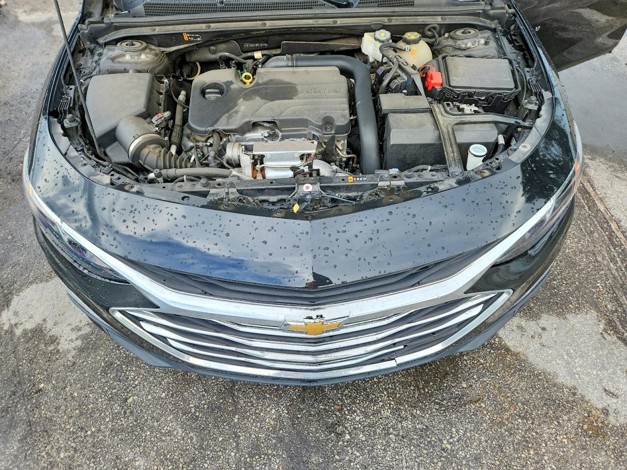 2023 CHEVROLET MALIBU