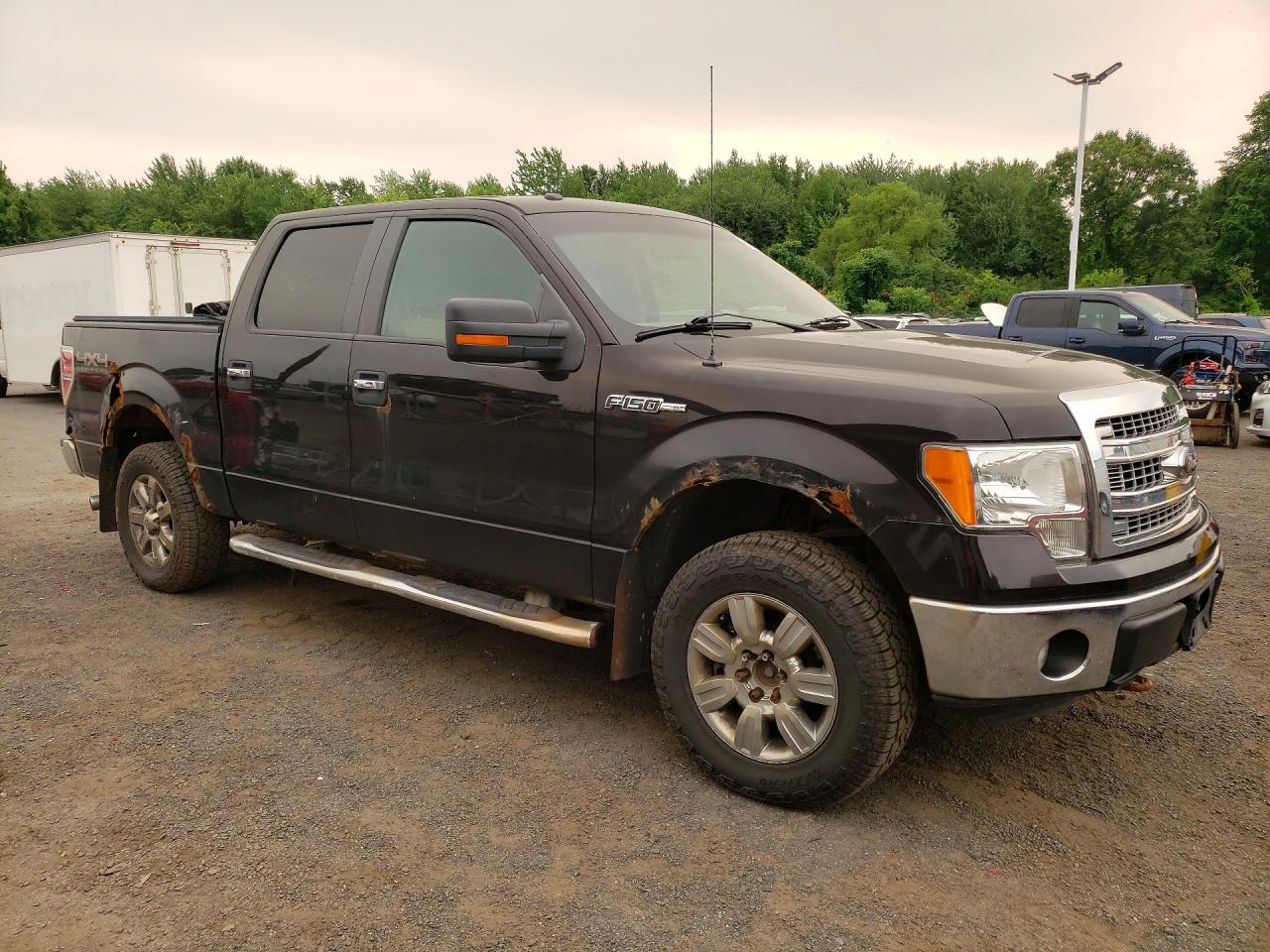 2013 FORD F150