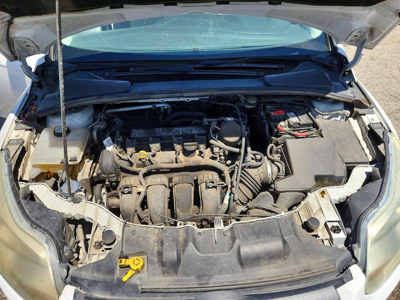 2014 FORD FOCUS