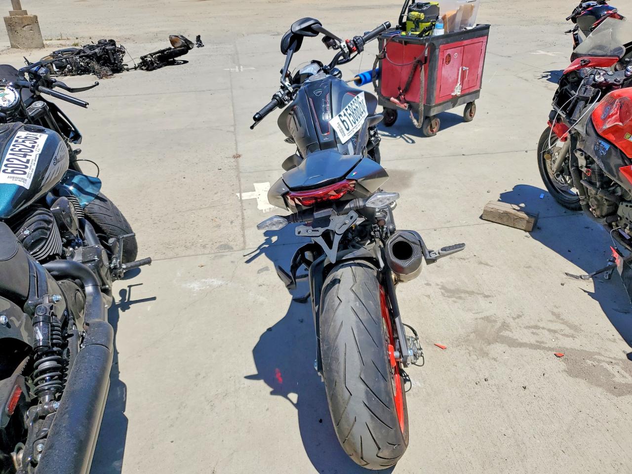 2024 DUCATI MONSTER