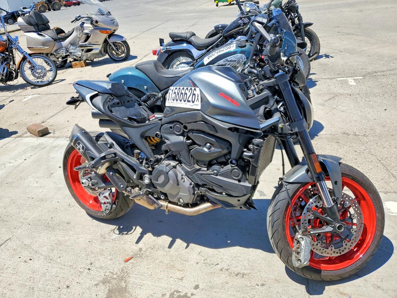 2024 DUCATI MONSTER