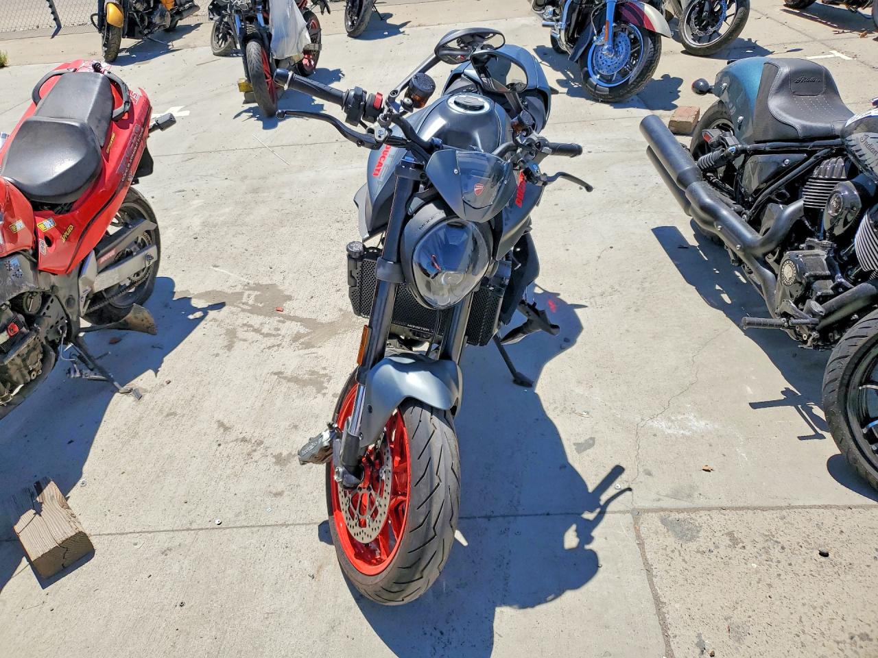 2024 DUCATI MONSTER