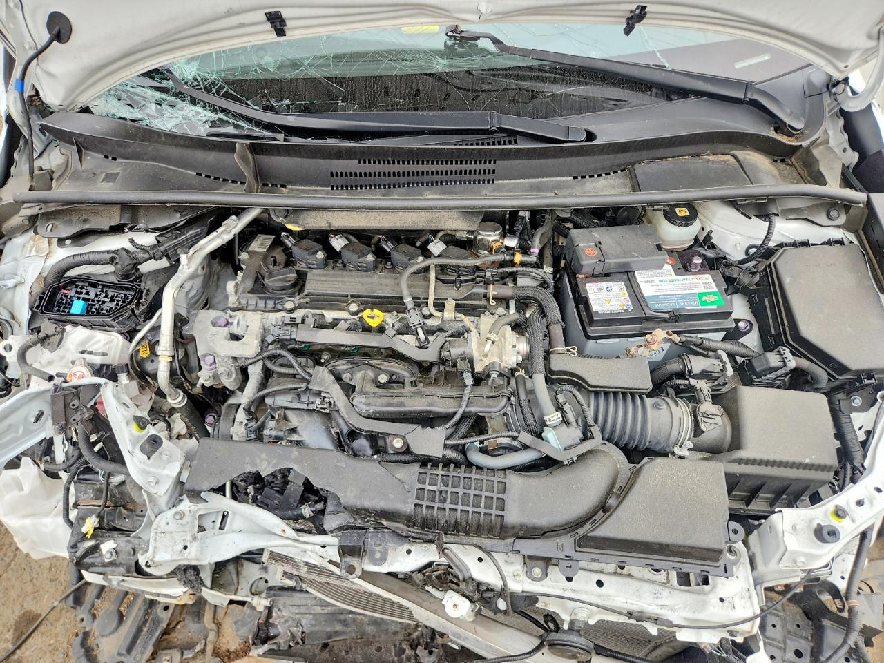 2021 TOYOTA COROLLA