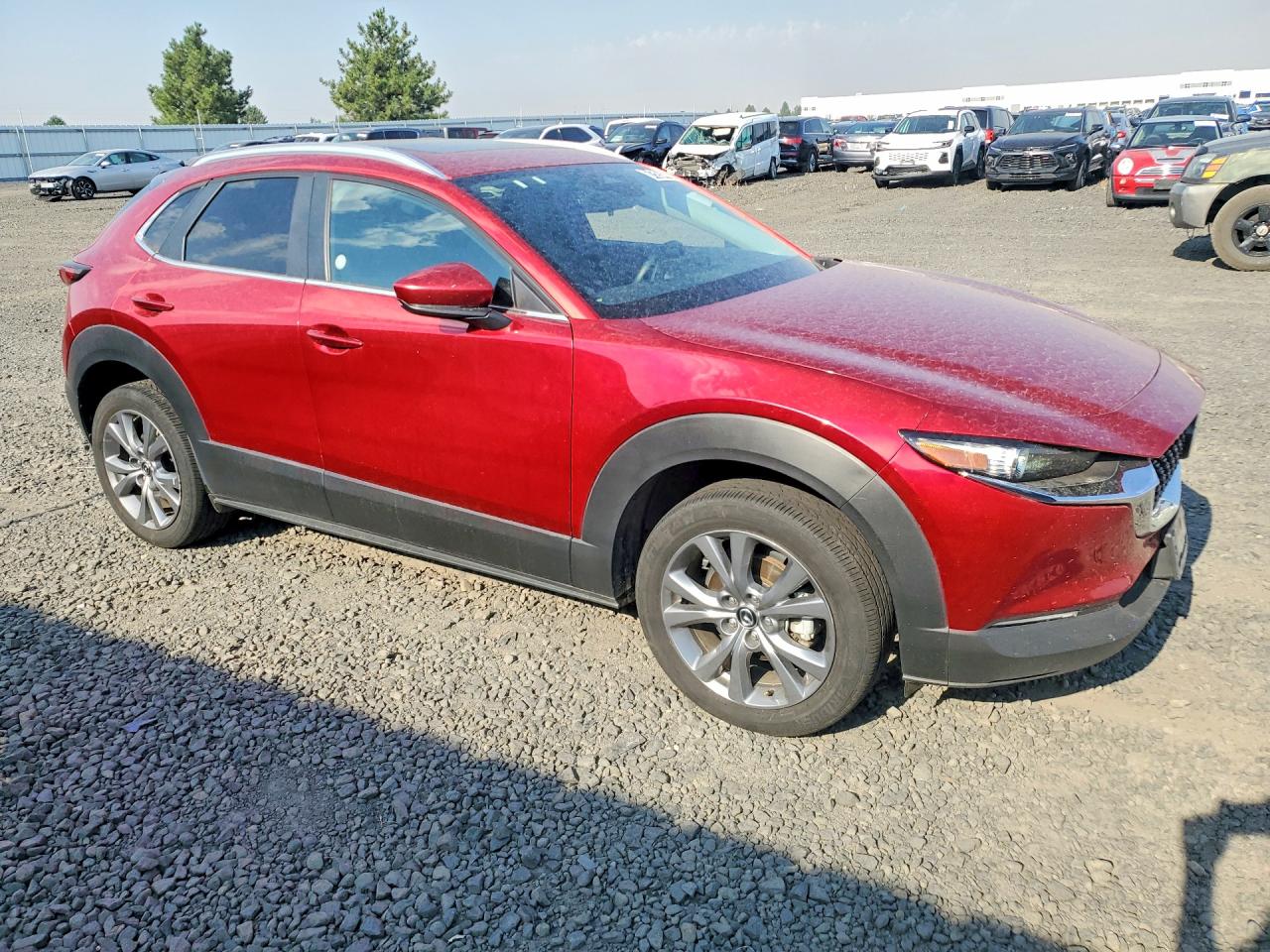 2025 MAZDA CX30