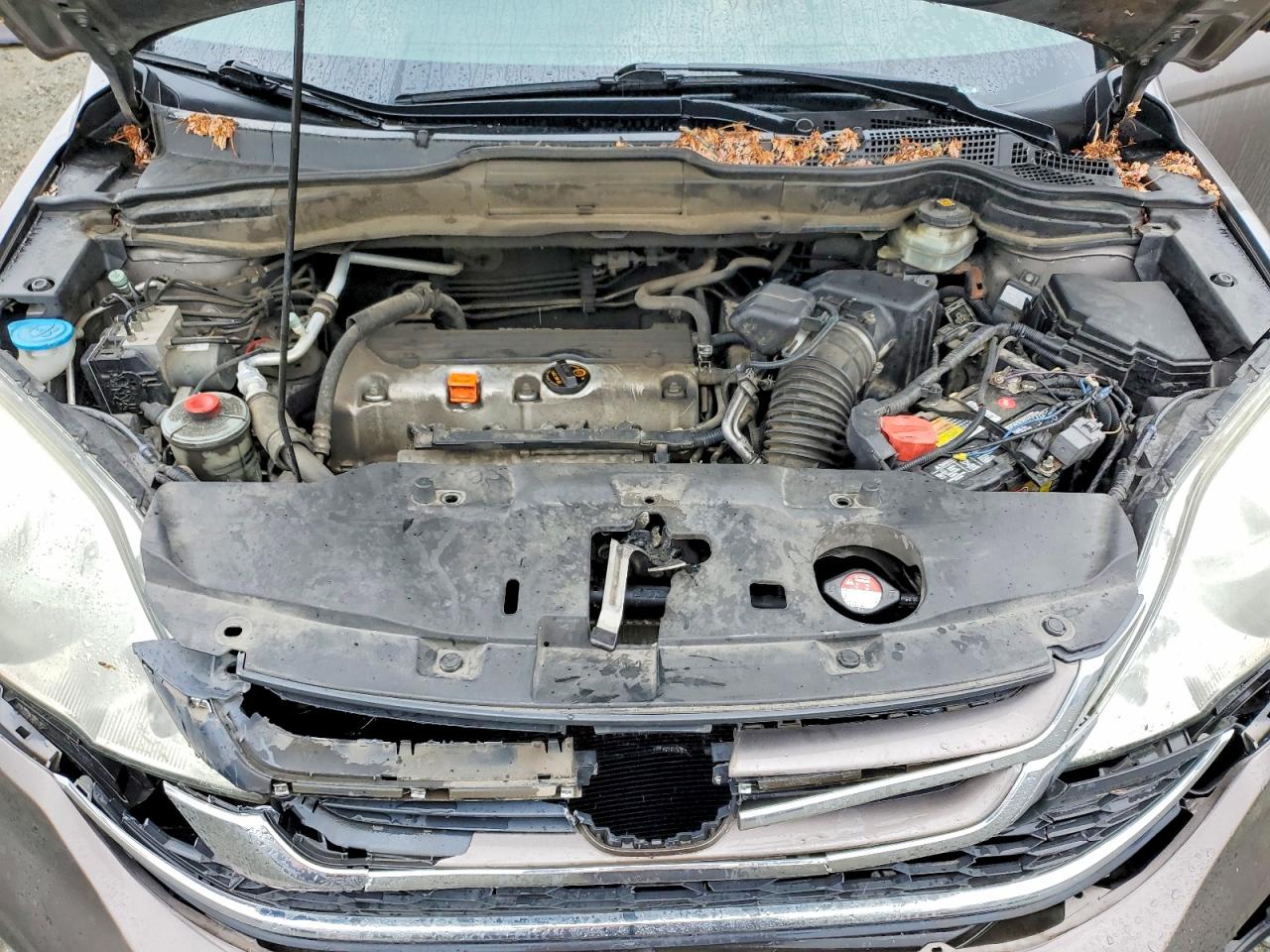2010 HONDA CRV