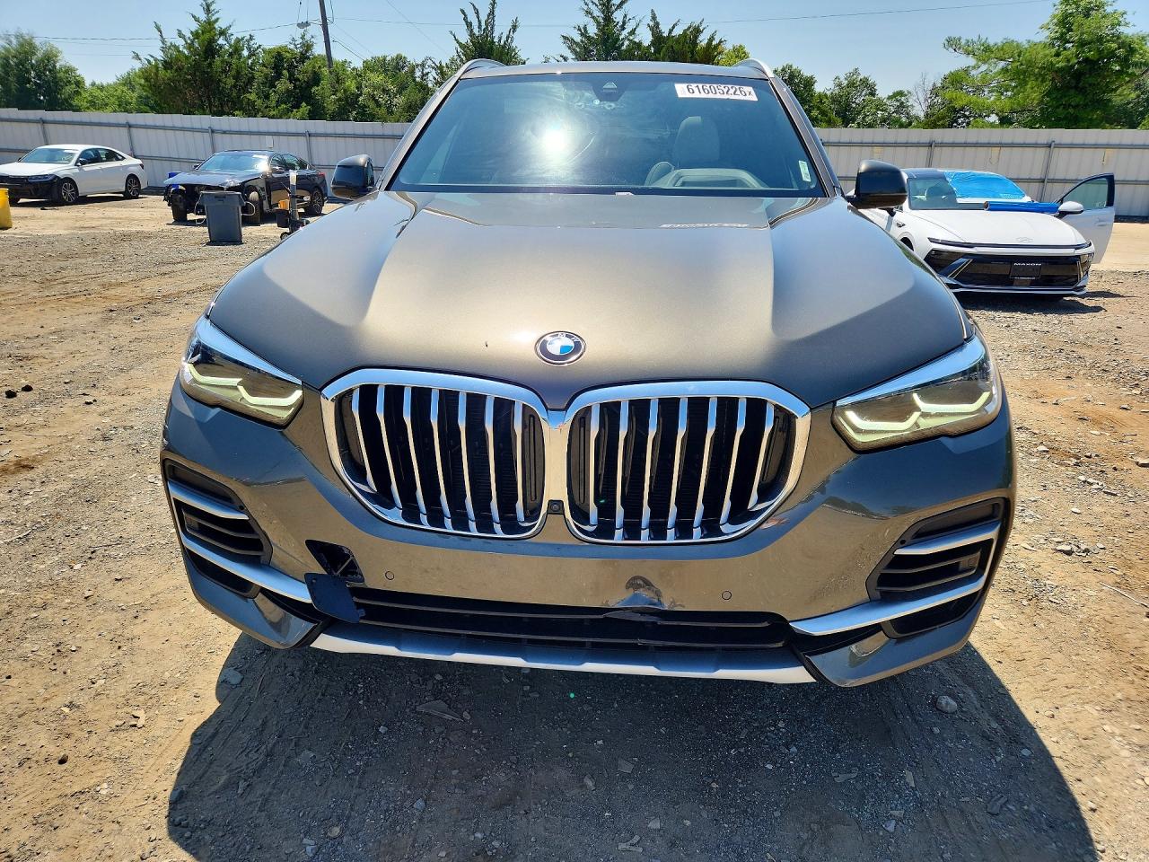 2023 BMW X5