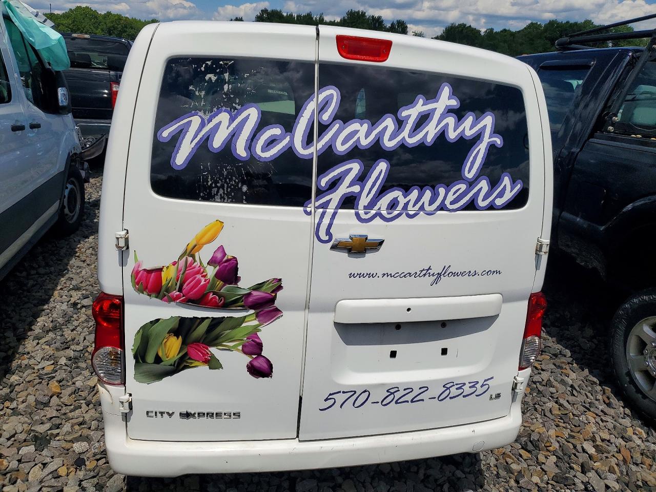 2015 CHEVROLET EXPRESS
