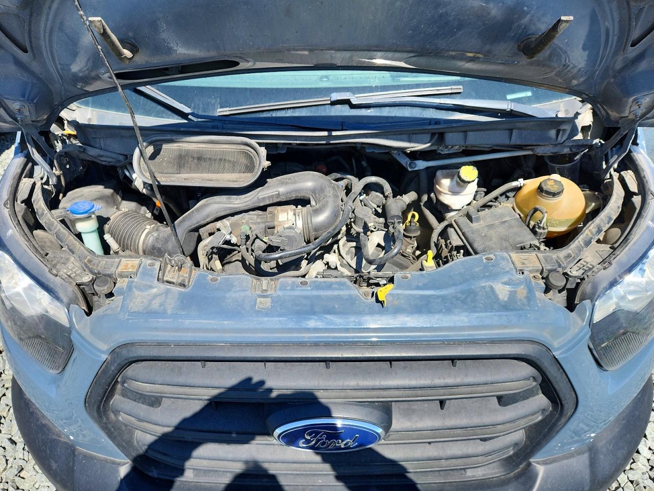 2020 FORD ALL Models
