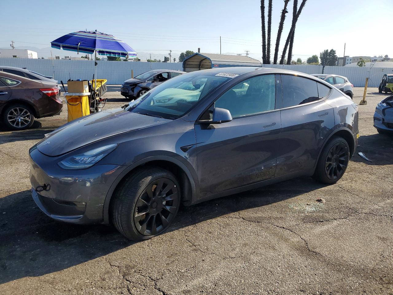 2021 TESLA MODEL Y