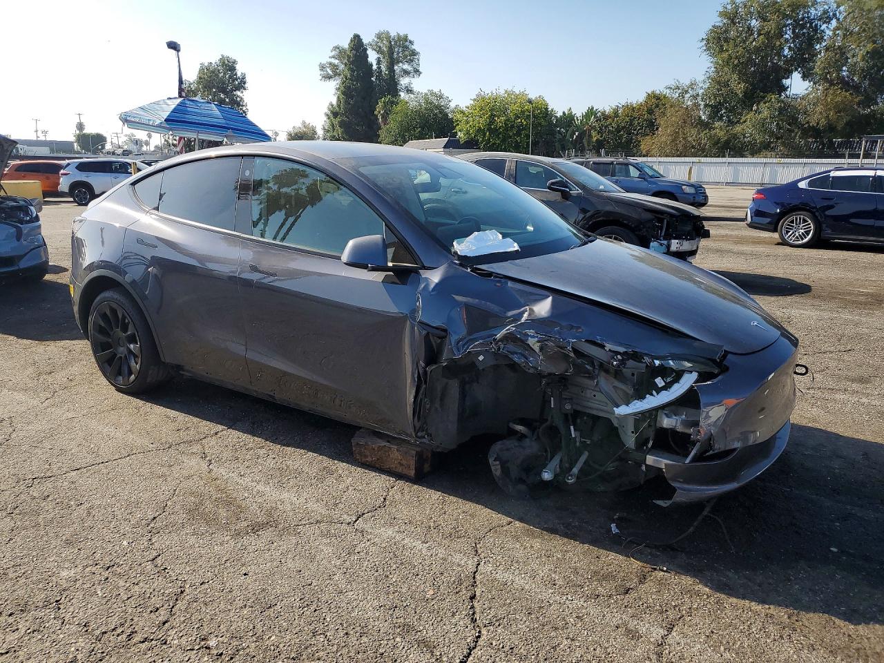 2021 TESLA MODEL Y