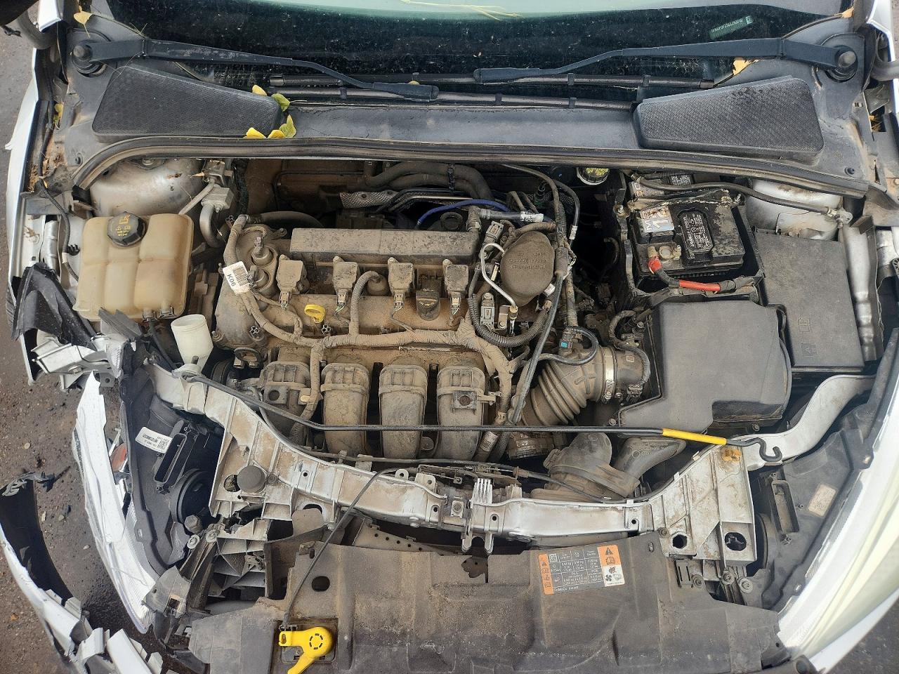 2016 FORD FOCUS