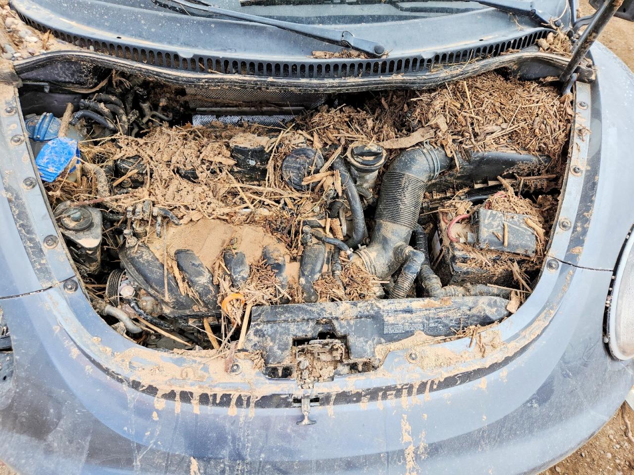 2006 VOLKSWAGEN BEETLE