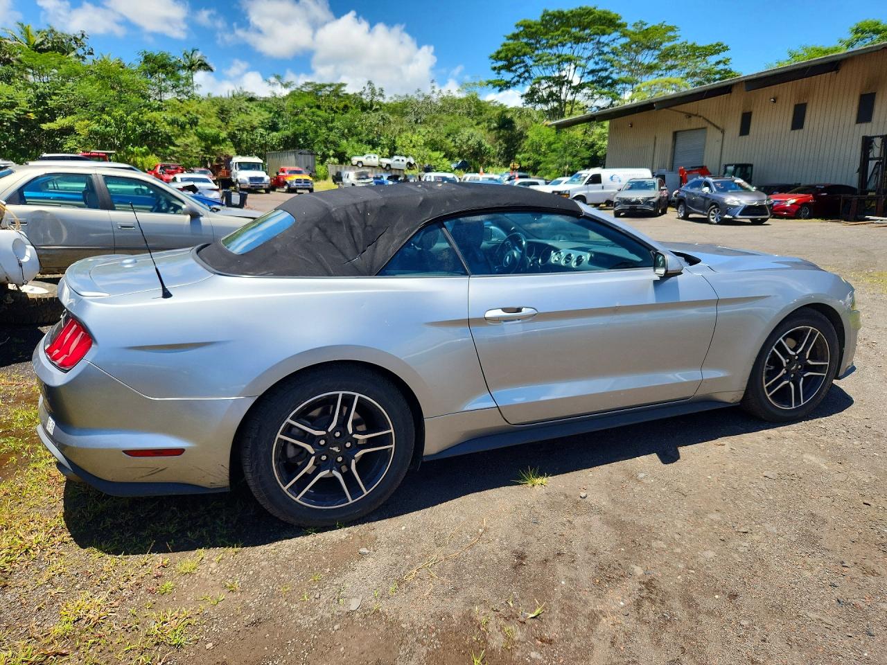 2023 FORD MUSTANG