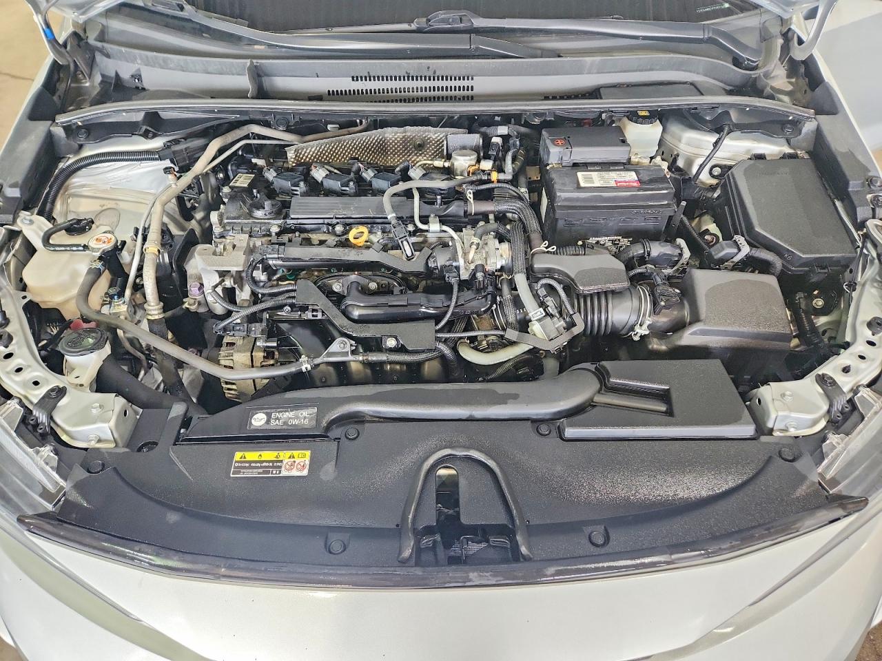 2023 TOYOTA COROLLA