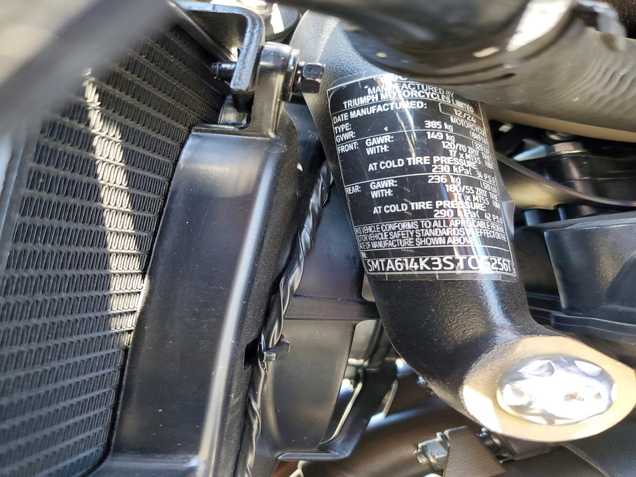 2025 TRIUMPH MOTORCYCLE STREET