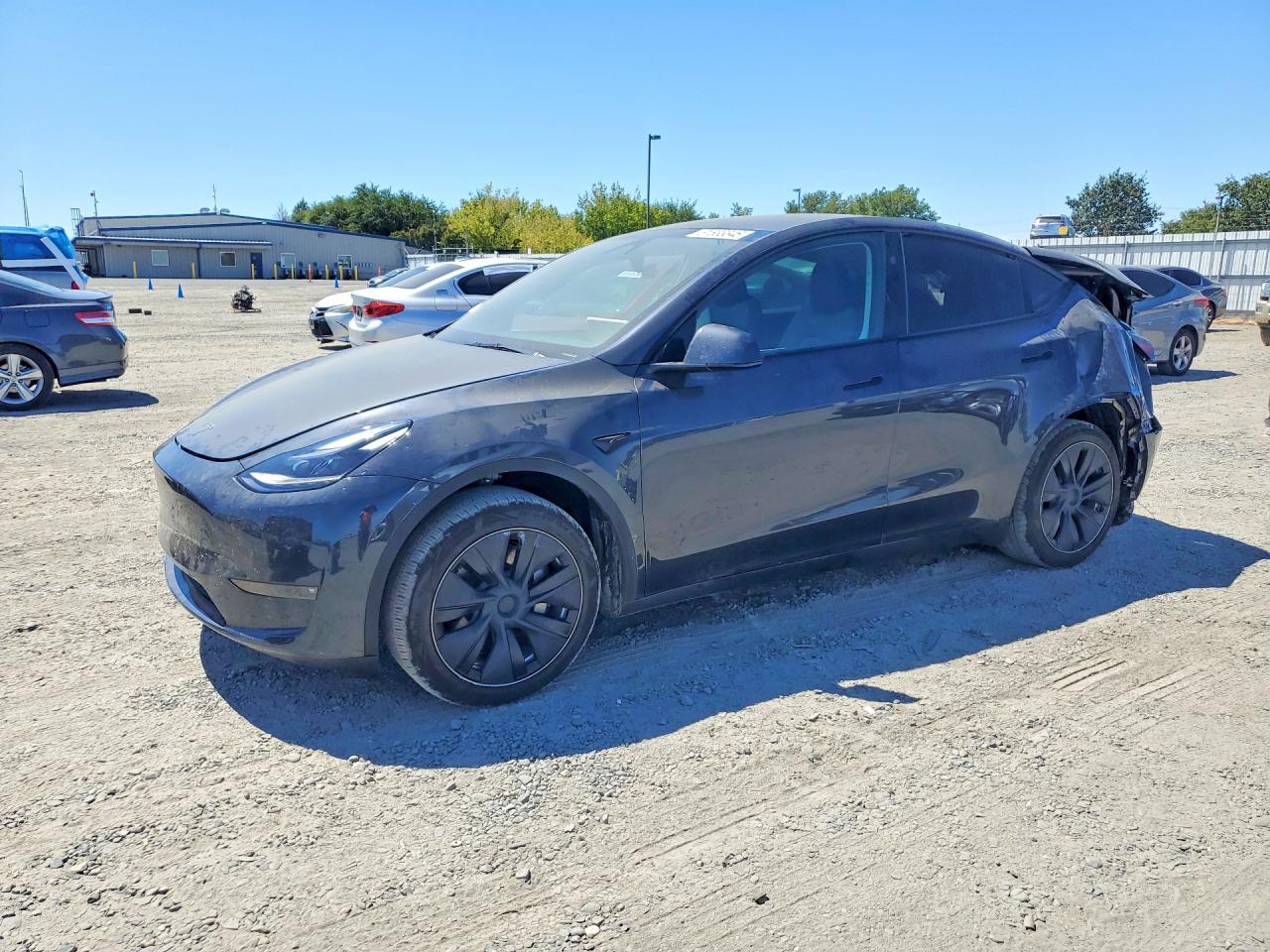 2025 TESLA MODEL Y