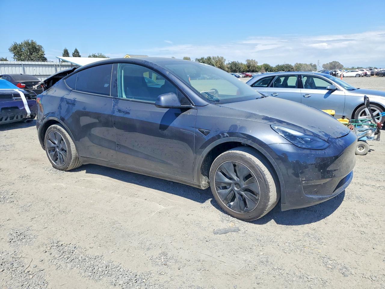2025 TESLA MODEL Y