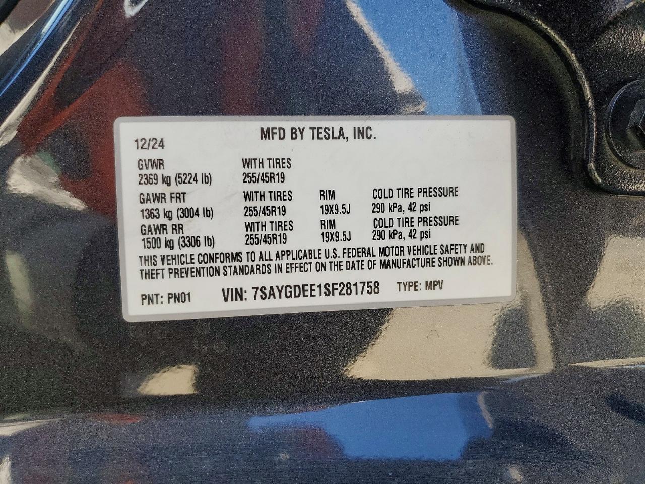 2025 TESLA MODEL Y