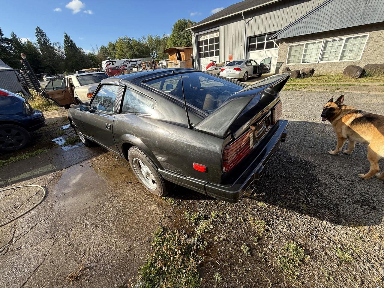 1982 DATSUN 280