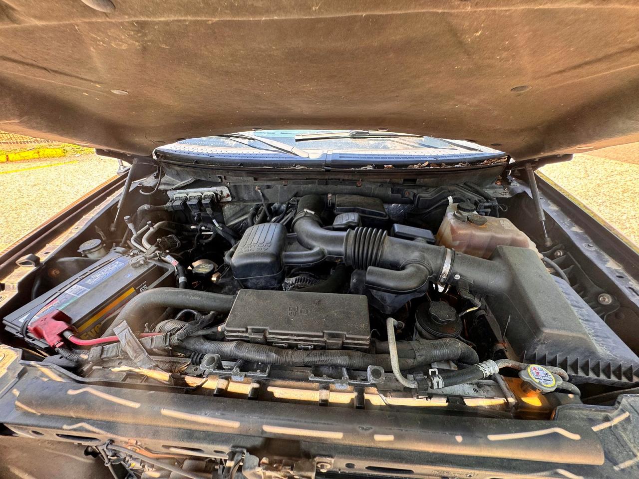 2010 FORD F150
