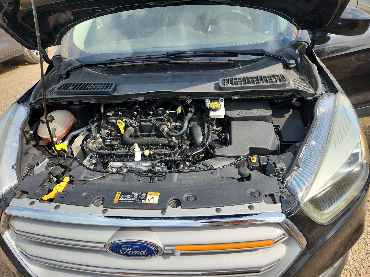 2019 FORD ESCAPE