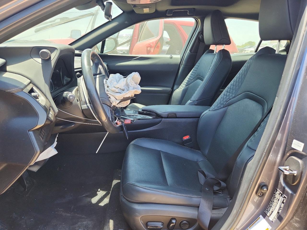 2019 LEXUS UX 250H