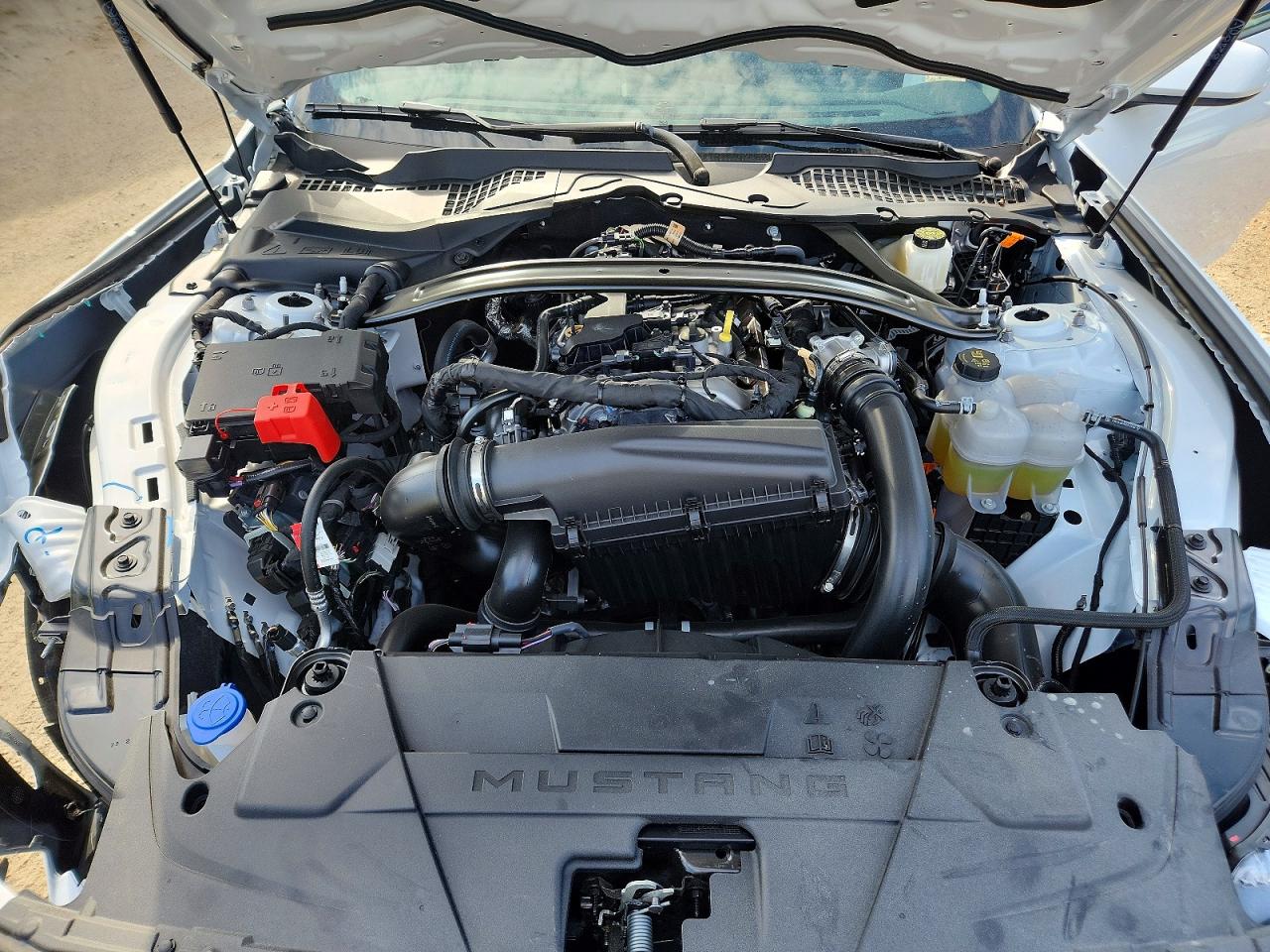 2026 FORD MUSTANG