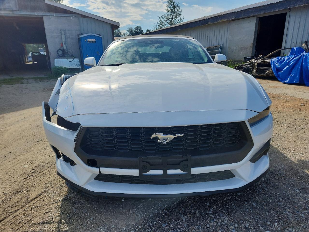 2026 FORD MUSTANG