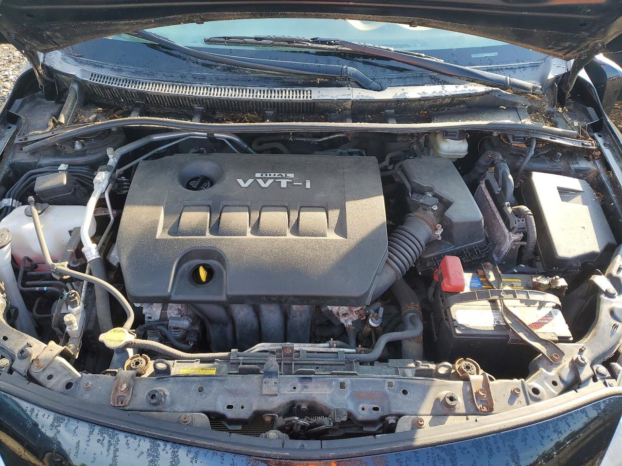 2010 TOYOTA COROLLA