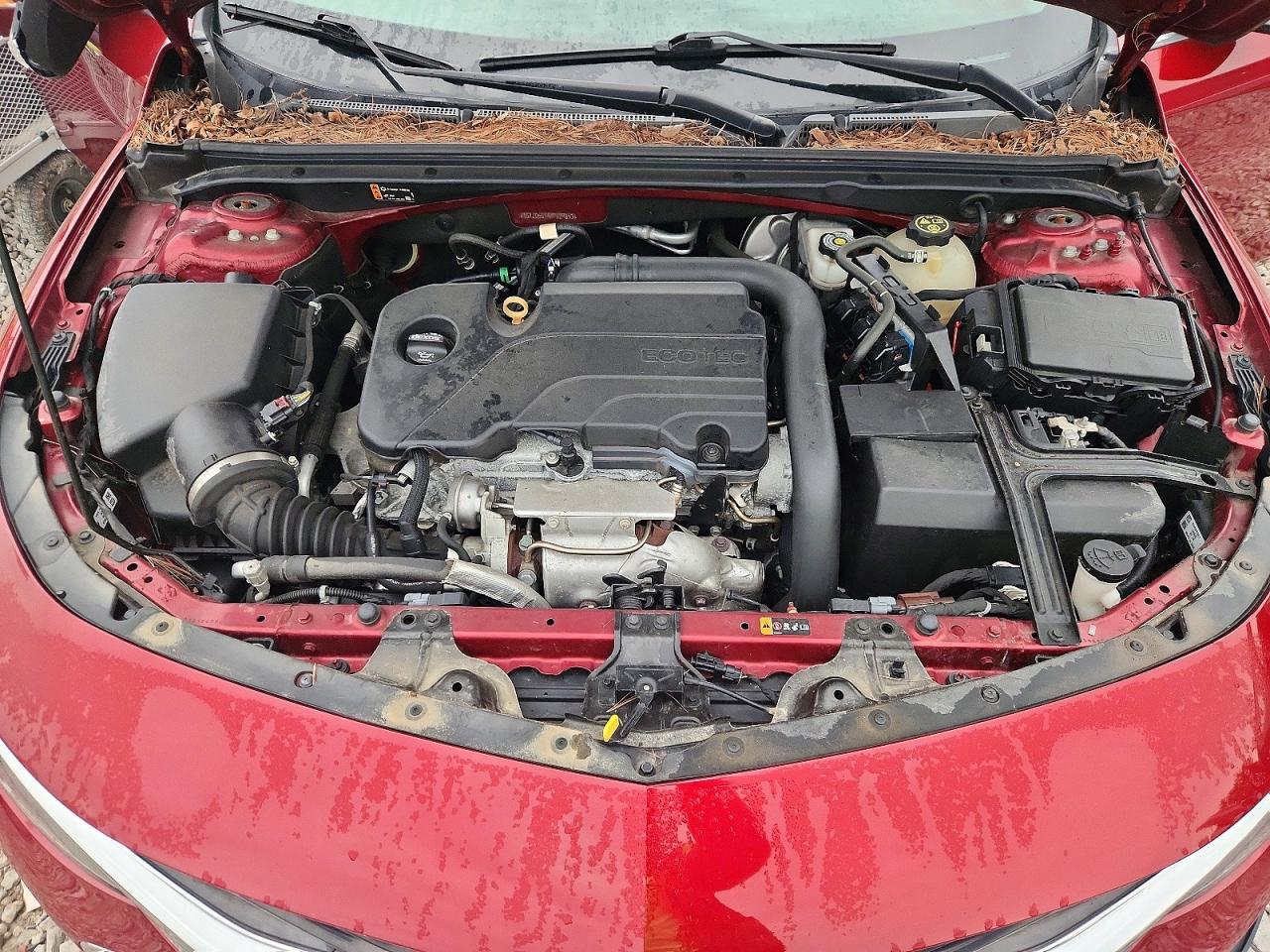 2019 CHEVROLET MALIBU