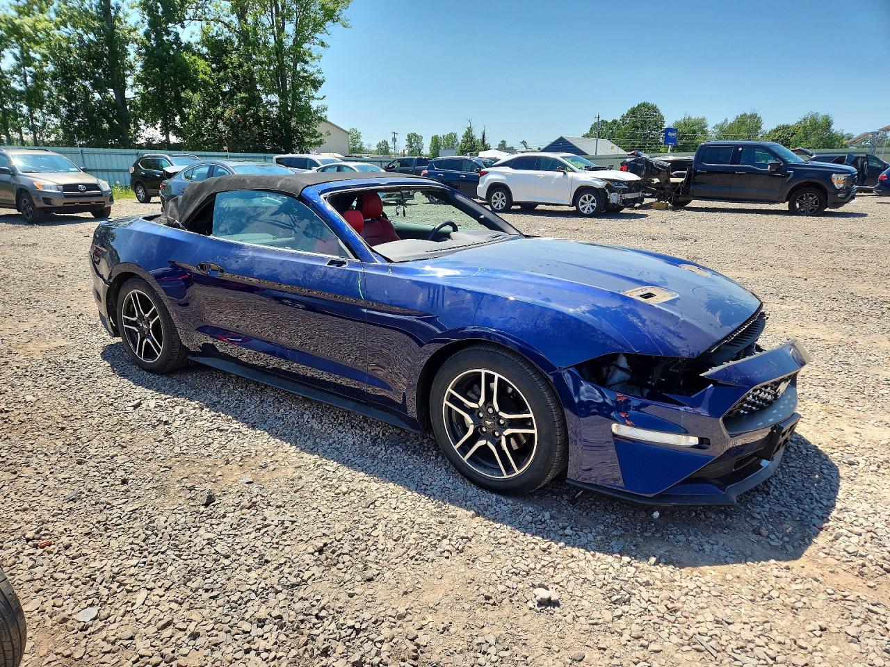 2019 FORD MUSTANG