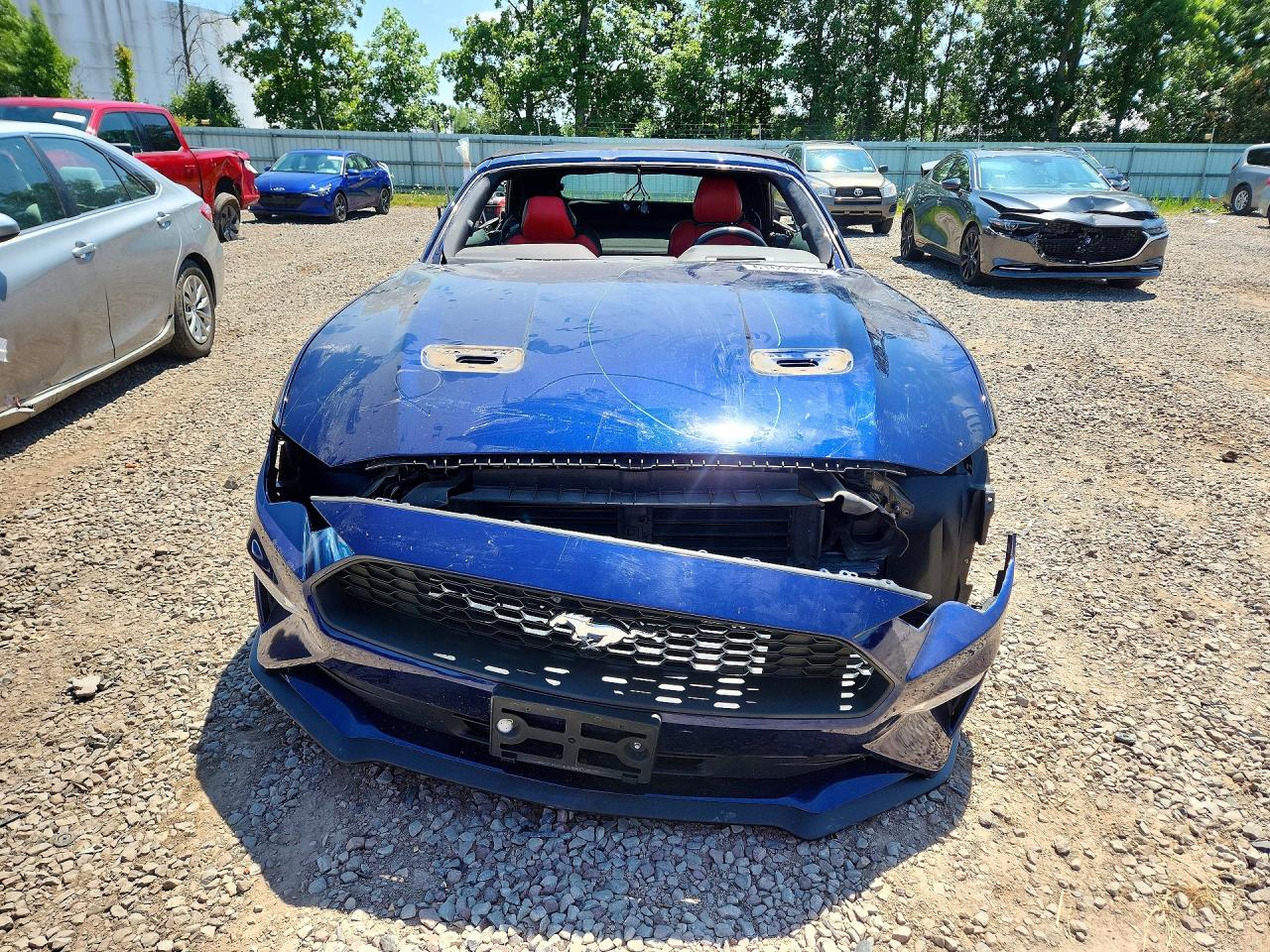 2019 FORD MUSTANG