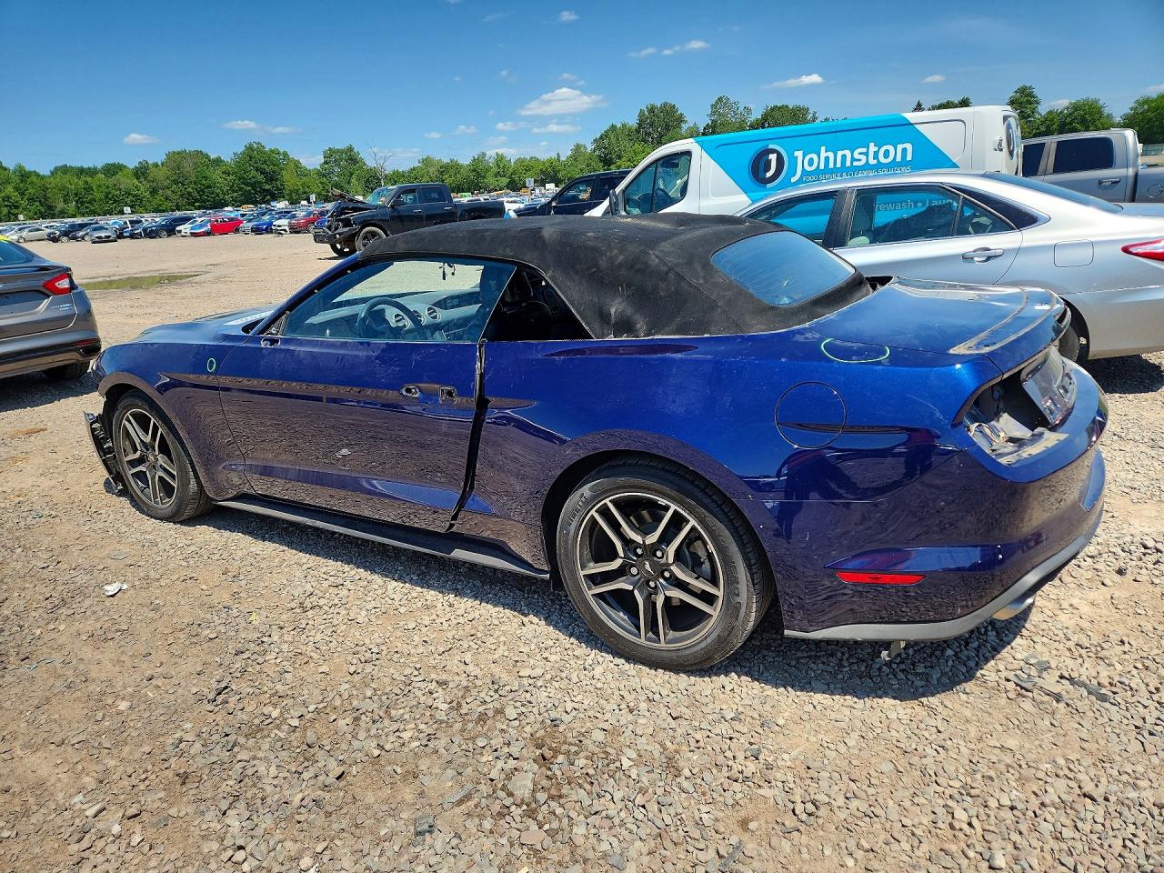 2019 FORD MUSTANG