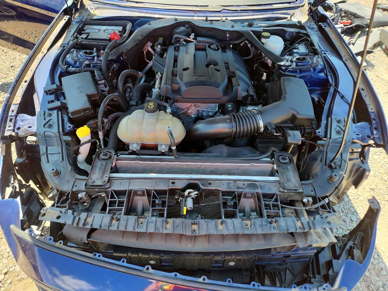 2019 FORD MUSTANG