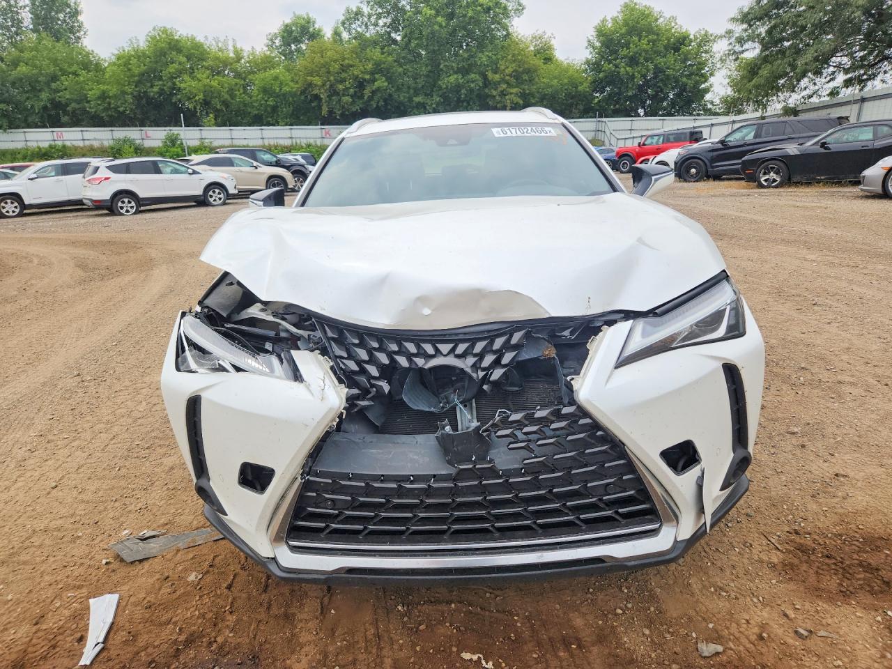 2019 LEXUS ALL OTHER