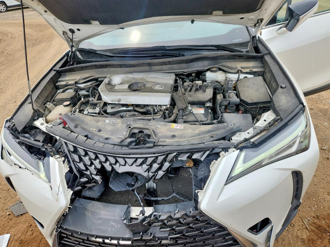 2019 LEXUS ALL OTHER