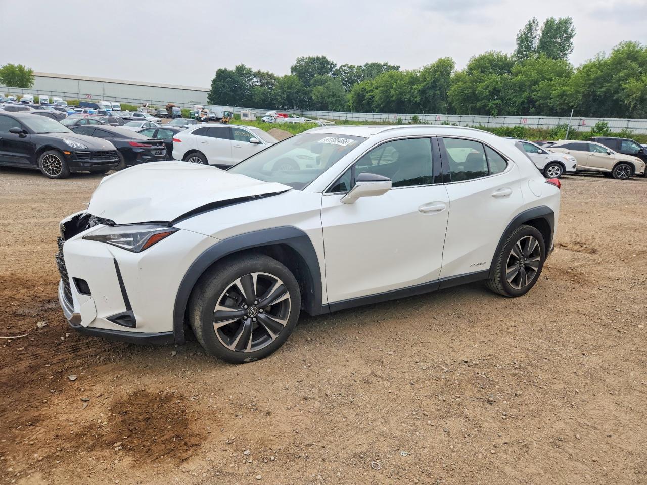 2019 LEXUS ALL OTHER
