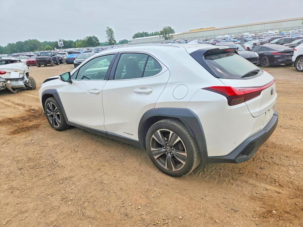 2019 LEXUS ALL OTHER