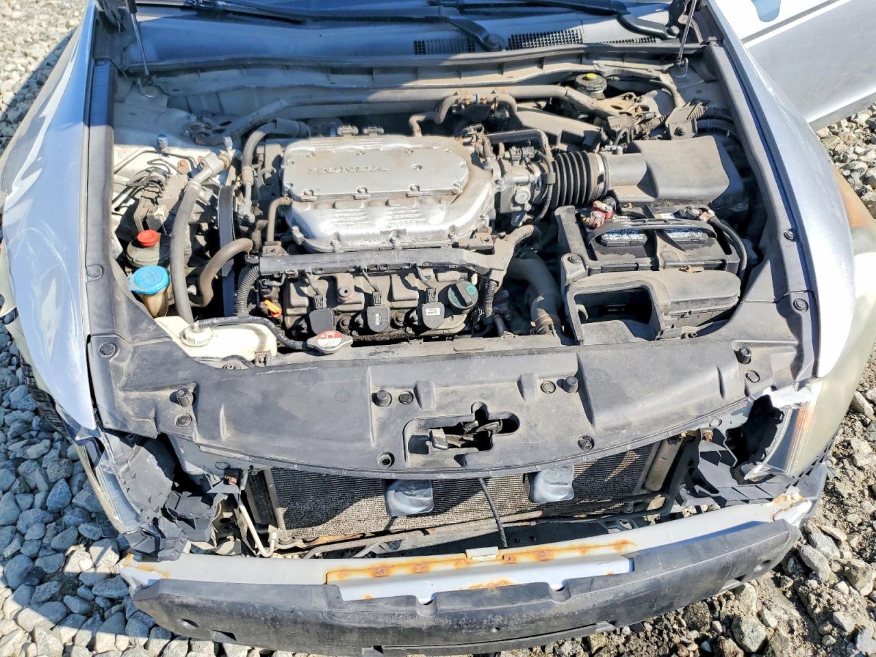 2010 HONDA ACCORD