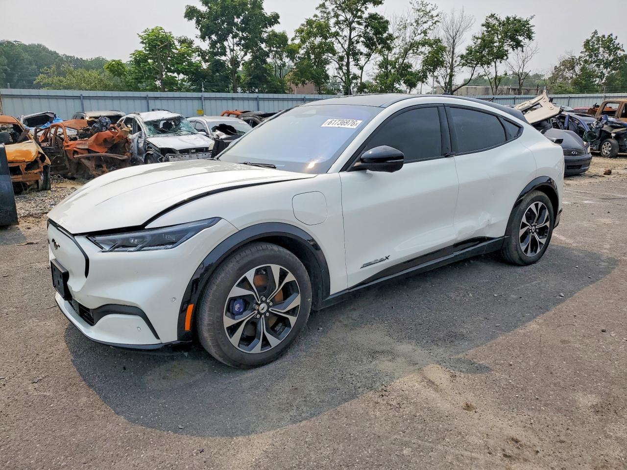 2023 FORD MUSTANG