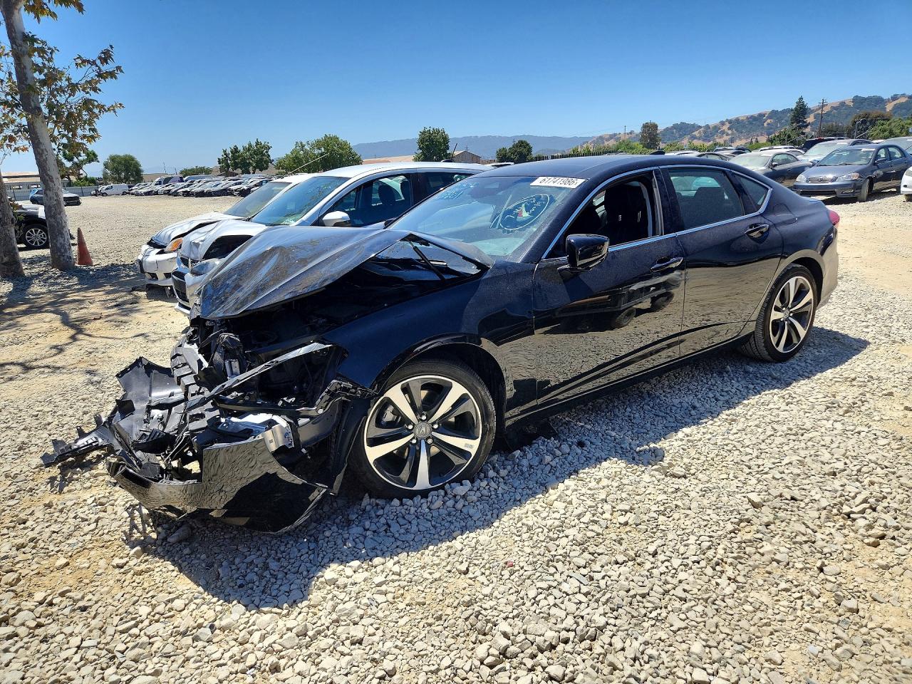 2025 ACURA TLX