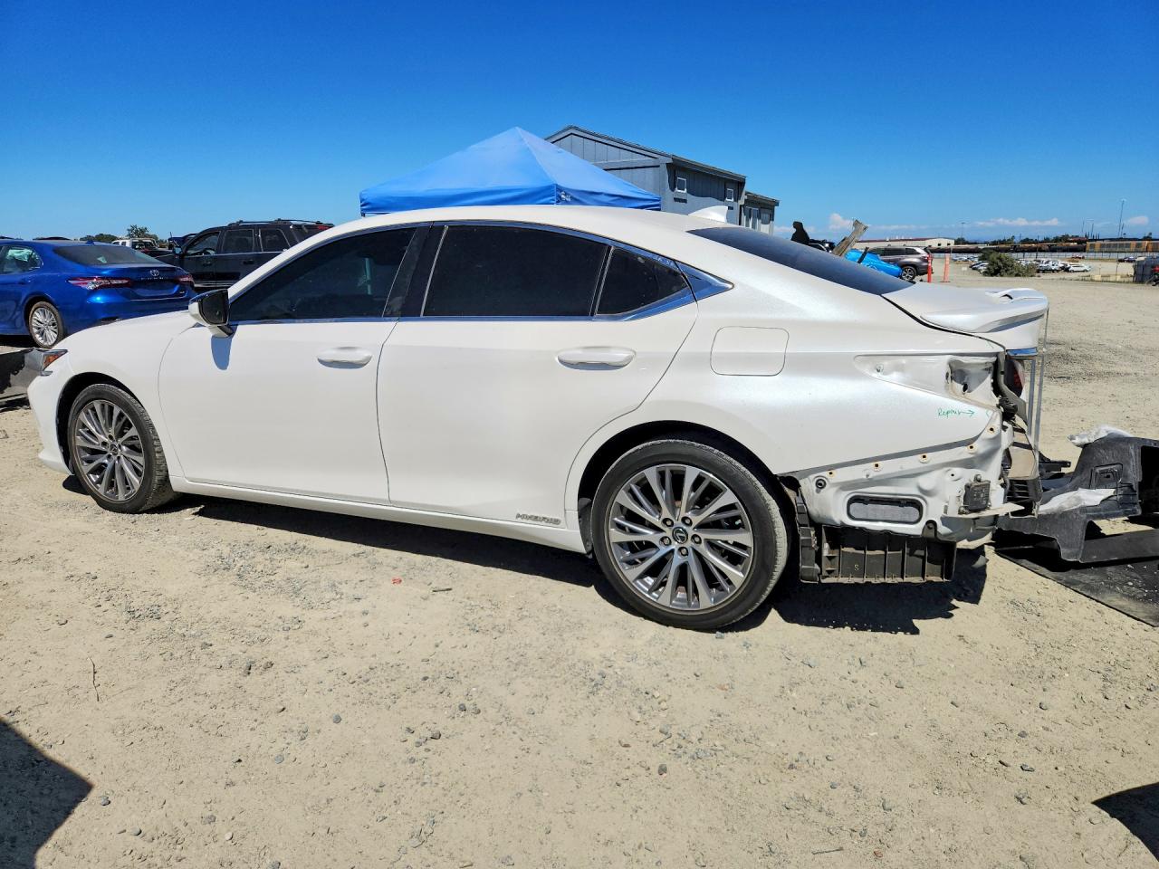 2019 LEXUS ES300