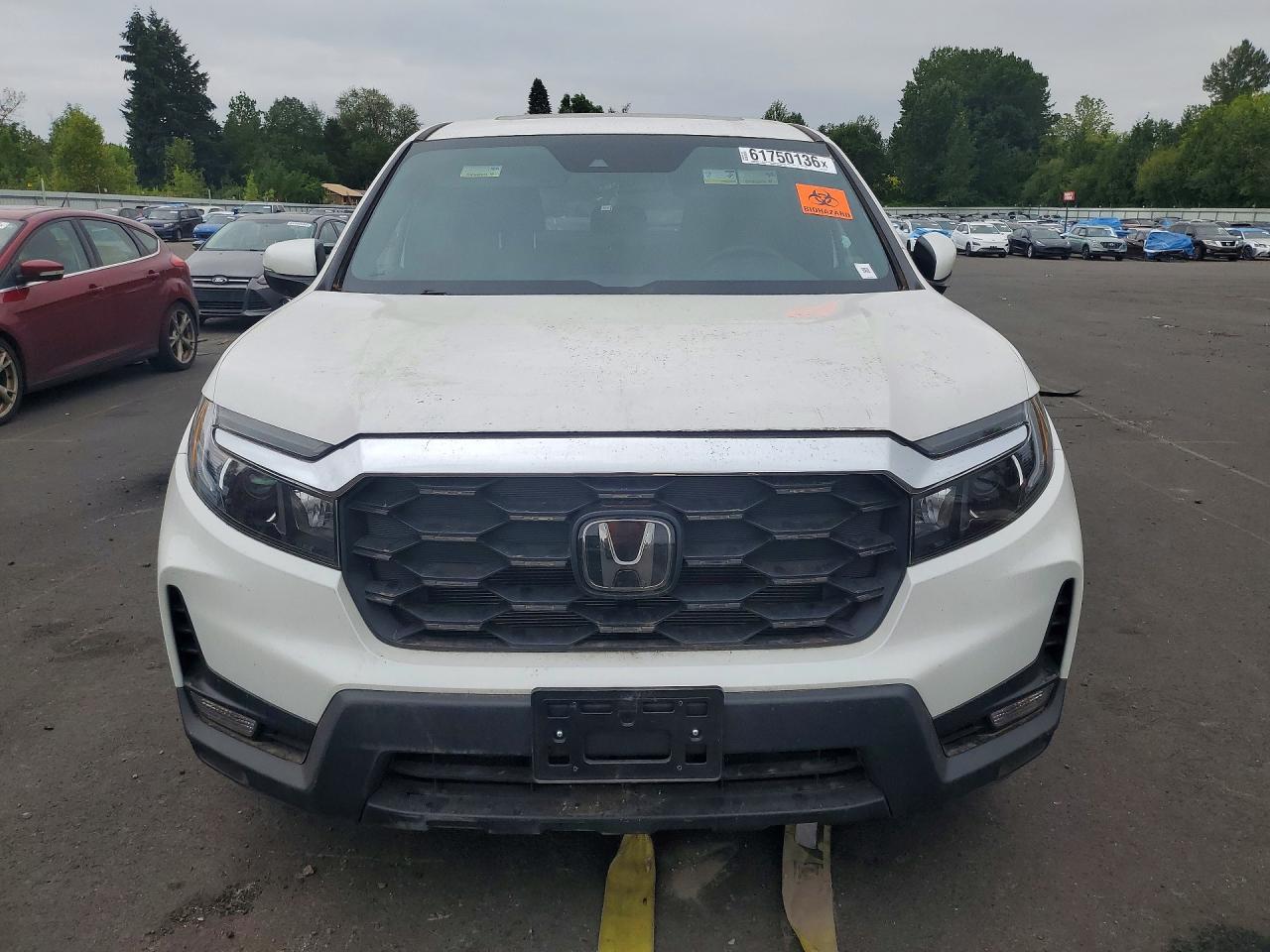 2024 HONDA PASSPORT