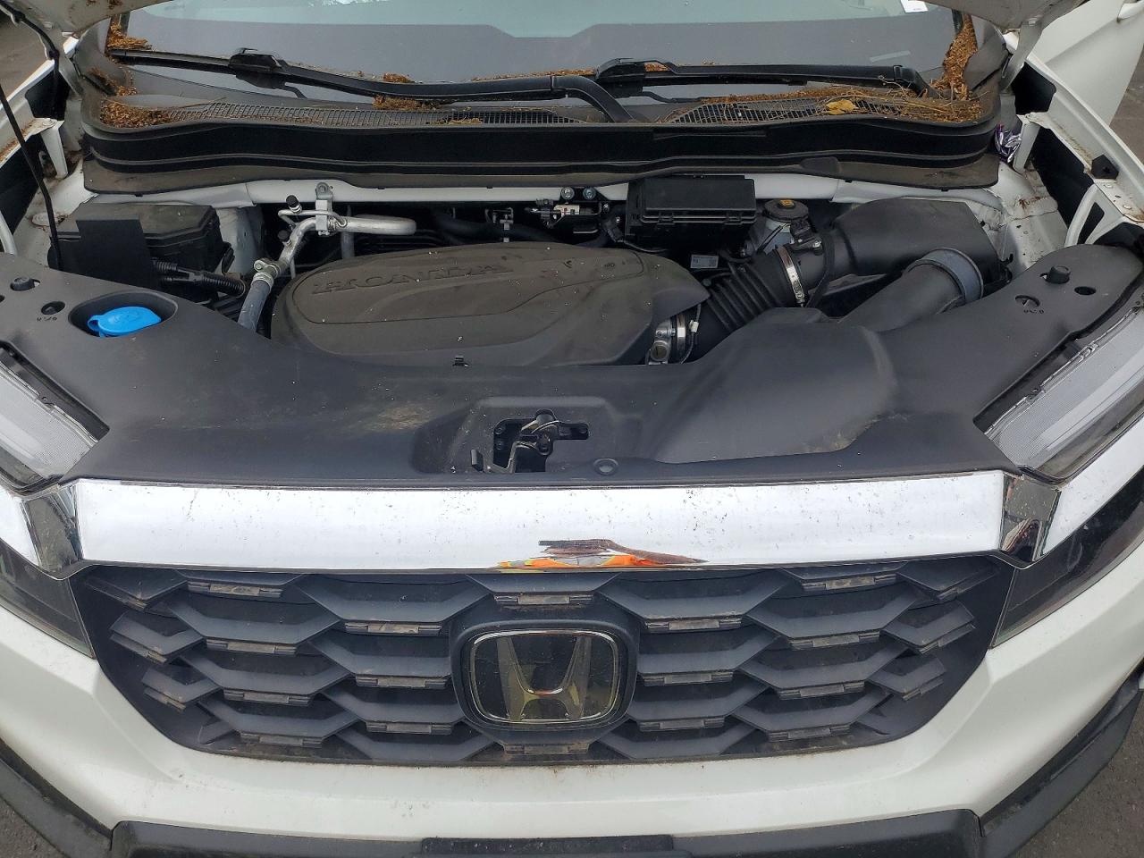 2024 HONDA PASSPORT