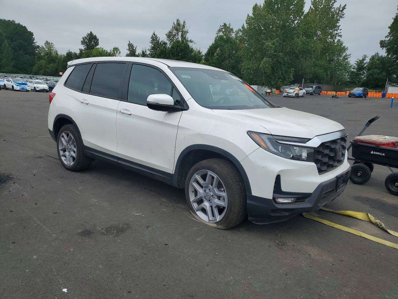 2024 HONDA PASSPORT