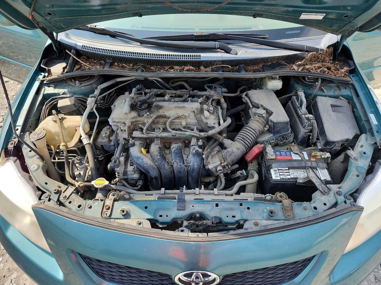 2009 TOYOTA COROLLA