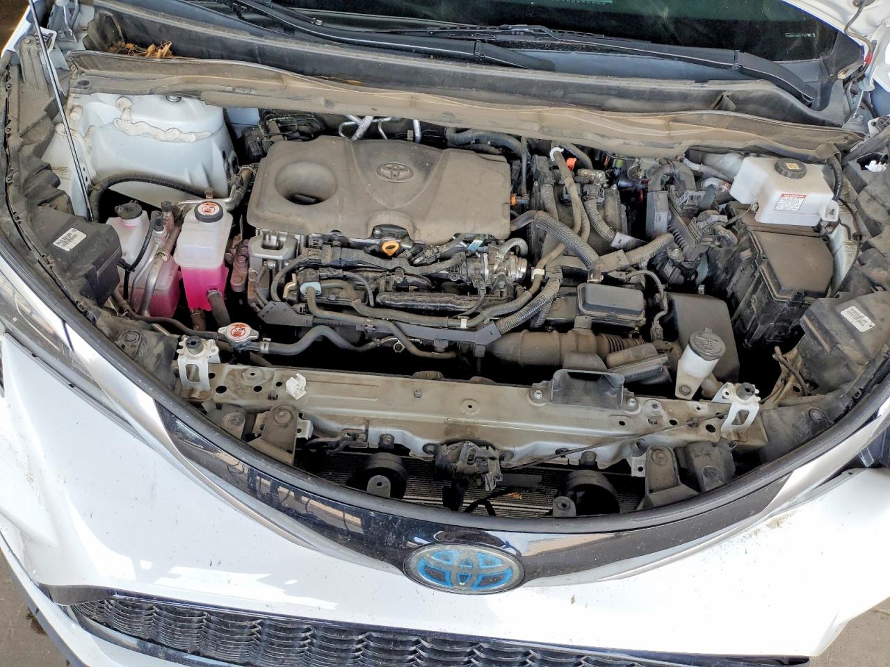 2022 TOYOTA SIENNA