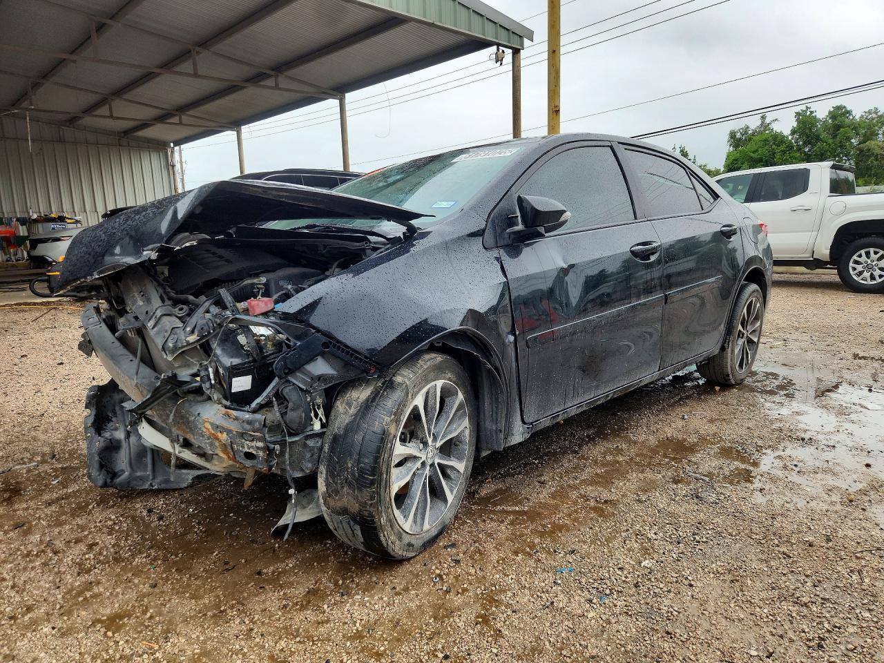 2019 TOYOTA COROLLA