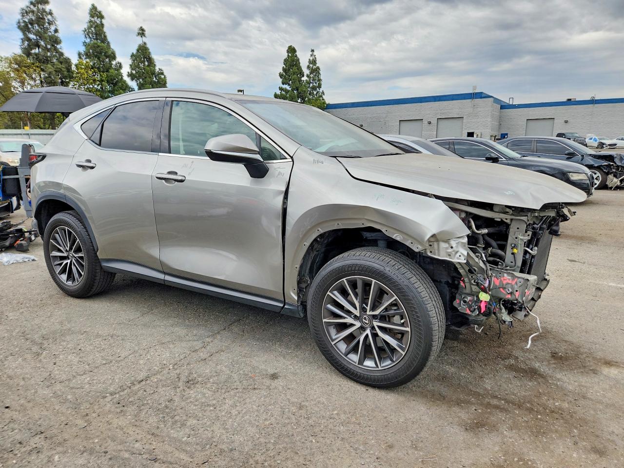 2022 LEXUS NX