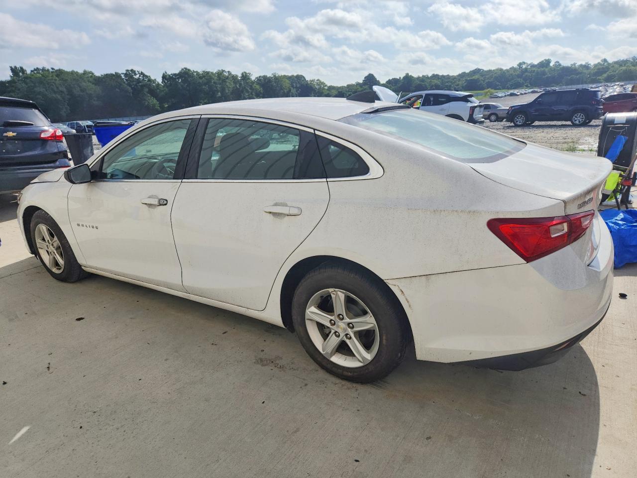 2019 CHEVROLET MALIBU